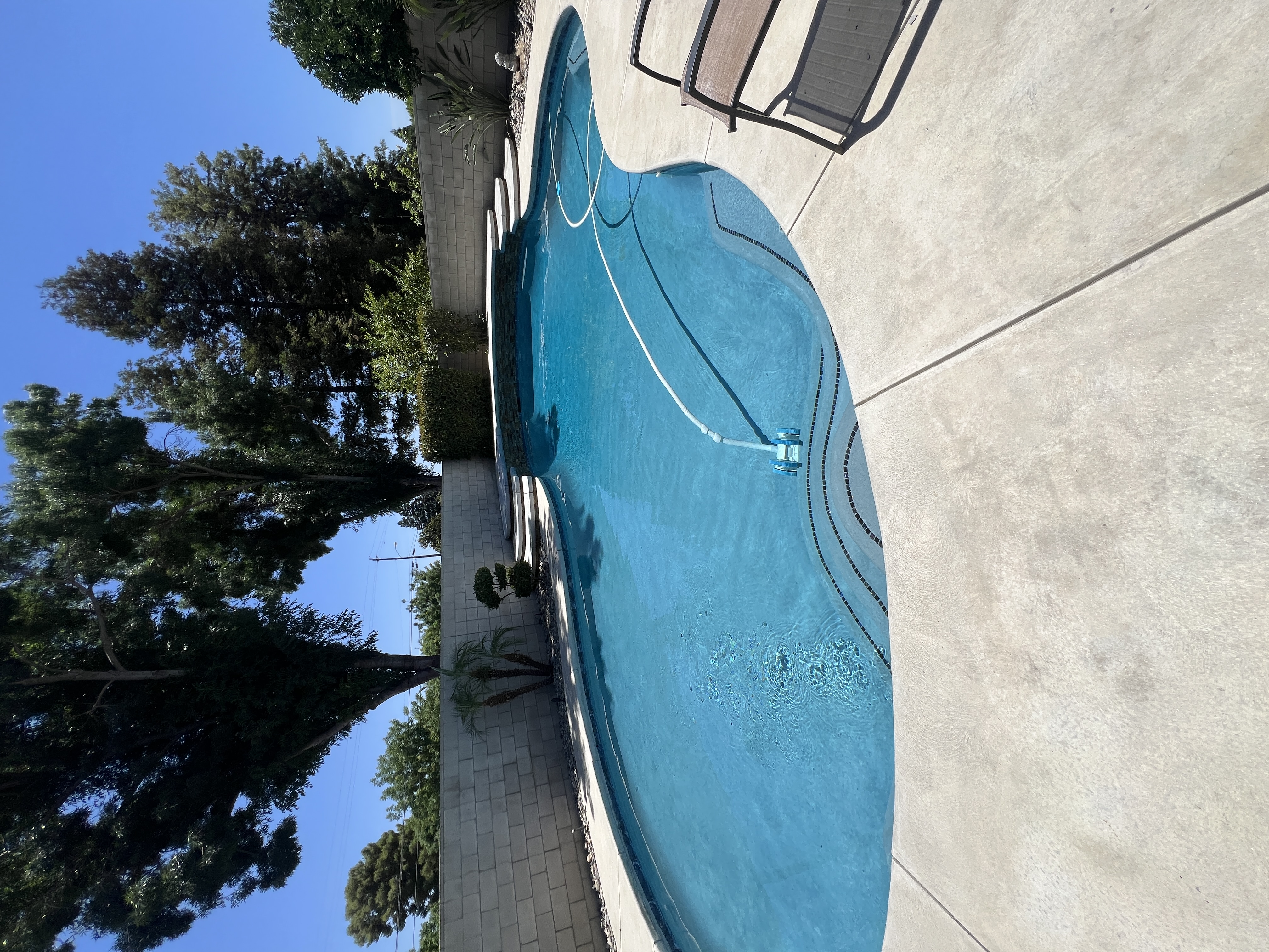 Renovated freeform pool with new plaster and tile in Antioch CA